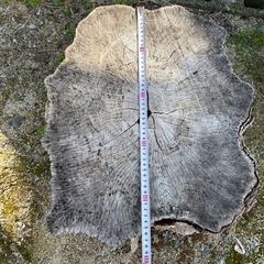 -取引完了-丸太　無料の画像