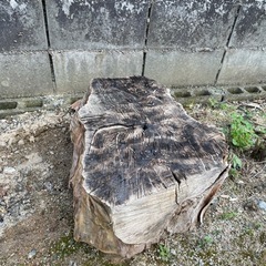 -取引完了-丸太　無料の画像