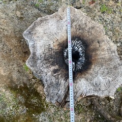 -取引完了-丸太　無料の画像