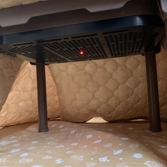 （値下げします）ねこ用こたつ　の画像