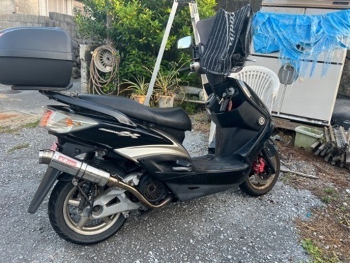 2型シグナス