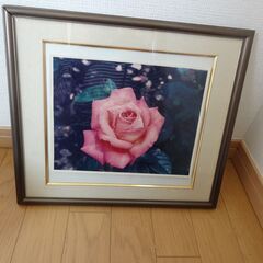 バラの写真と額を差し上げます　無料