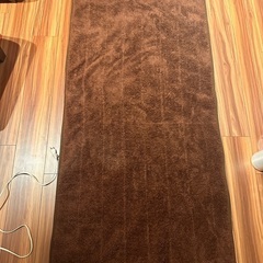 170cmくらいのホットカーペット