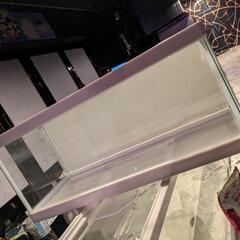 水槽セット＼(^o^)／