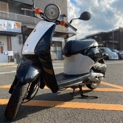 【外装新品✨ピカピカ❗️】ツートンカラー　ホンダ　AF61 トゥ...
