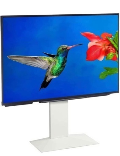 有機ELテレビ＋サウンドバー（壁寄せスタンド付き）