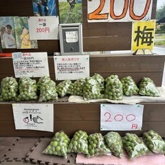 梅　青うめ　200円