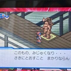 ロックマンエグゼ得意な方の画像