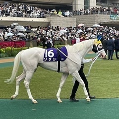 東京競馬場に行きませんか〜　競馬で繋がろう！