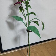花立て