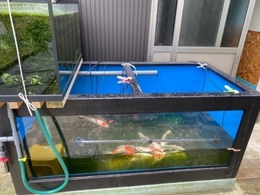 受け渡し完了しました。水槽用品出品しています。