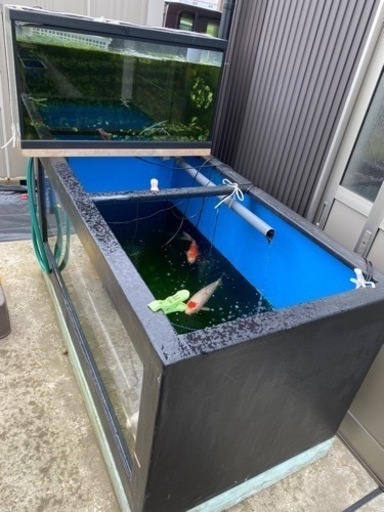 受け渡し完了しました。水槽用品出品しています。