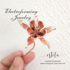 6月 エレクトロフォーミング ワークショップのお知らせの画像