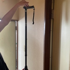杖