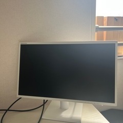 PRINCETON モニターPTFWLD-22W