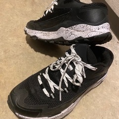 正規品 North Face スニーカーの画像