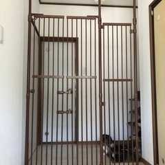 猫柵