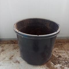 大型コンテナ　植木鉢　プランター