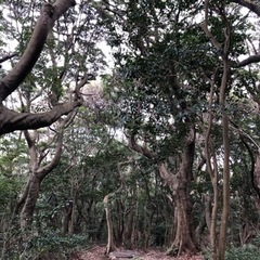 宝満山登山⛰