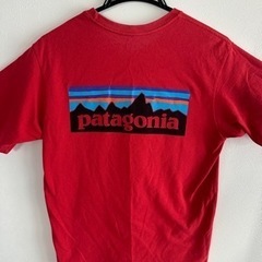 ★パタゴニア Tシャツ★の画像