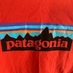 ★パタゴニア Tシャツ★の画像