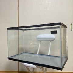 60cm 水槽の画像