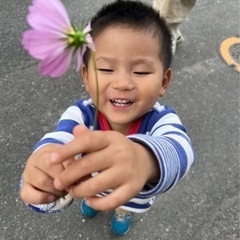 食材にこだわったお弁当の製造、デリバリーのお仕事ですの画像