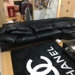 お洒落ソファ黒革VIPお兄お姉ギャル
