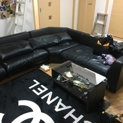 お洒落ソファ黒革VIPお兄お姉ギャル