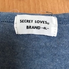 4L Tシャツ 2セットの画像