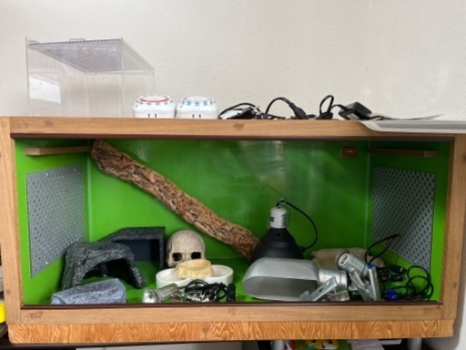 爬虫類用品一式