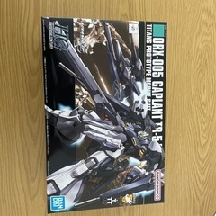 ガンプラ　hgucギャプランTR-5フライルー