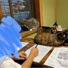 単発でもOK！中学数学/英語/理科、定期テスト得点UPのための弱点対策指導いたしますの画像