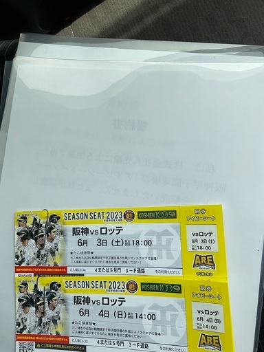 甲子園ペアチケット‼️