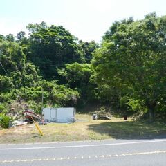 指宿市山川大山【売地】 国道沿地目山林約637坪320万円 - 指宿市