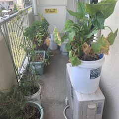 園芸用品