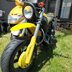 マニア必見！　交換可能　スズキ　ストリートマジック50
