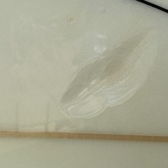 9'2 波王　(NAMIOH) ロングボード サーフボードの画像