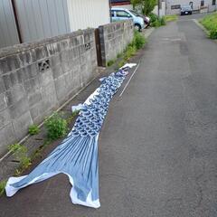 豪物❗40数年前は､岩手県で一番デカク❕長い鯉のぼり🎏‼️(６メール､吹き出し無し)の画像