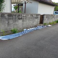 豪物❗40数年前は､岩手県で一番デカク❕長い鯉のぼり🎏‼️(６メール､吹き出し無し)の画像