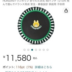 大きめトランポリンの画像