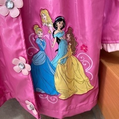 ディズニープリンセス　カッパの画像