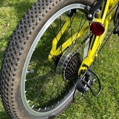 さらに値下げ　Giant XTC JR 20 LITE 2020 modelの画像