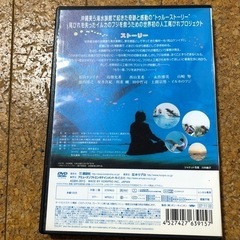 ドルフィンブルーの画像