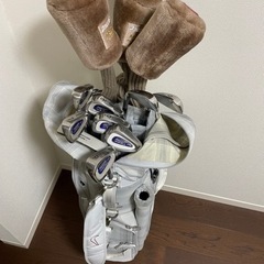 レディース　ゴルフ　クラブ　バック