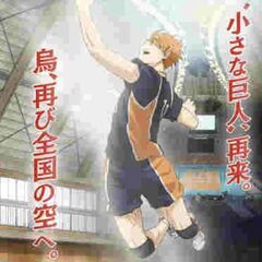 男子バレーチーム(東京スペリオーレ)新メンバー大募集中！