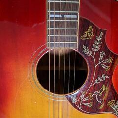 pearlハミングバードモデル