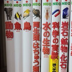81J6iPByQjL._AC_UF350,
