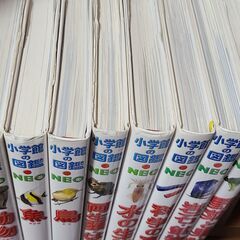 小学館の図鑑　NEO　ネオ　７冊まとめて　ばら売り可の画像