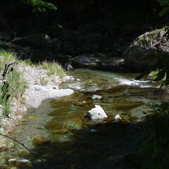 ～ノーベル物理学賞受賞者 真鍋淑郎さんの故郷 自然豊かな【新宮】で生活してみませんか～ - 四国中央市